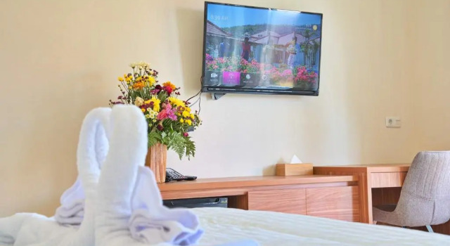 Номер Deluxe Seamount Hotel Amed