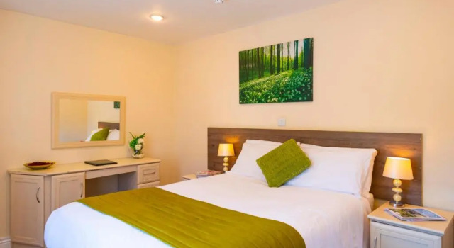 Двухместный номер Standard The Limes Country Lodge Hotel & Admiral Restaurant