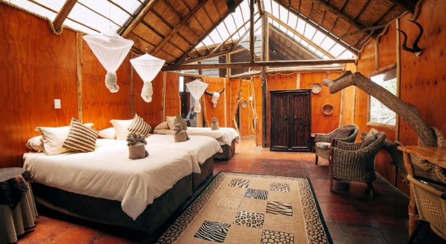 Номер Deluxe Pezulu Tree House Lodge
