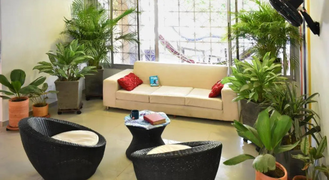 Color Hostel