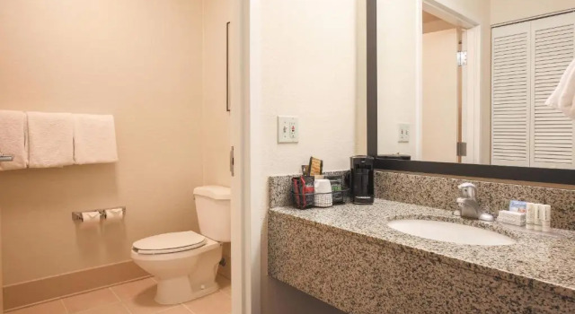 Двухместный люкс Courtyard by Marriott Flint Grand Blanc