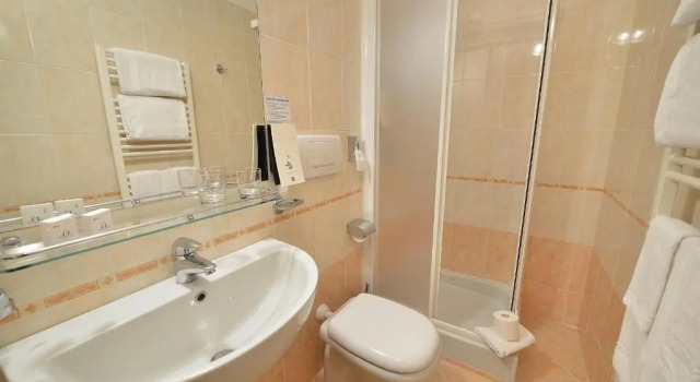 Номер Standard Hotel Interalpen