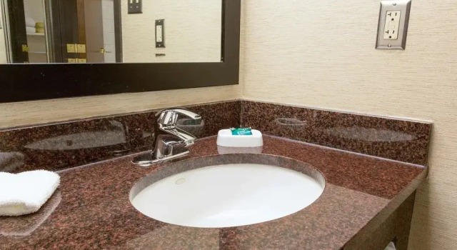 Двухместный люкс McAllen Plaza Hotel & Suites