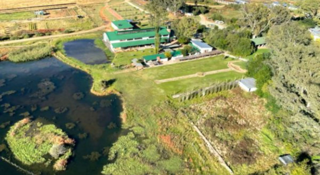 De Oude Kraal Country Estate and Spa, Prenota Resort Hotel SPA a Free State, SPA