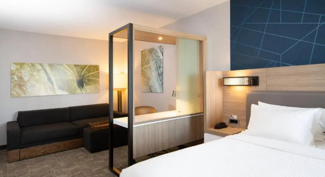 Люкс SpringHill Suites by Marriott Austin Cedar Park