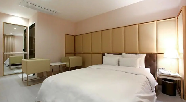 Номер Deluxe Hotel Star Premier Yeoksam