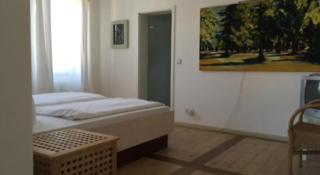 Номер Deluxe Hotel Hahn Gondelsheim