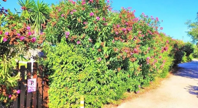 Вилла TETRAKTYS ESTATE beachside seaview ΥΔΩΡ with big garden