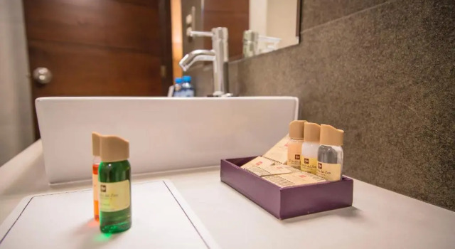 Одноместный номер Executive Aku Hotels