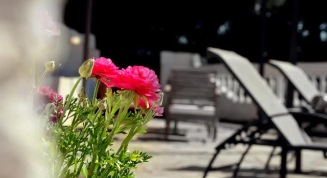 Nota apt 'vacation near the sea' 2