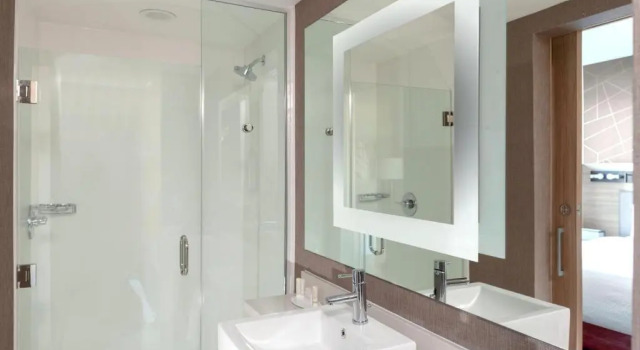 Люкс SpringHill Suites by Marriott Denver Tech Center