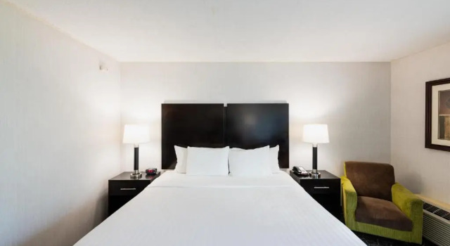 Номер Standard Garden Executive Hotel