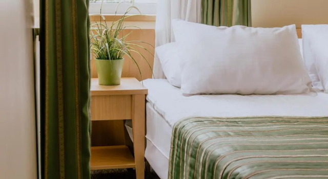 Номер Standard Hotel Vita