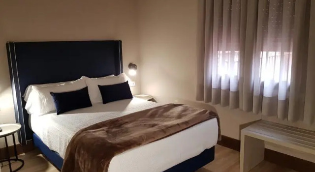 Одноместный номер Hotel Maria Cristina