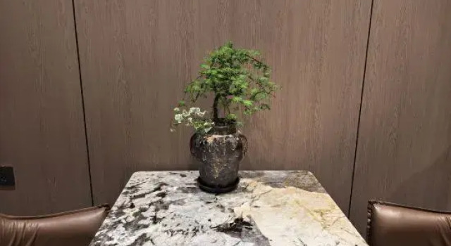 Orange Hotel (Wuchang Station), Varaa Hotelli Harbin Heilongjiang