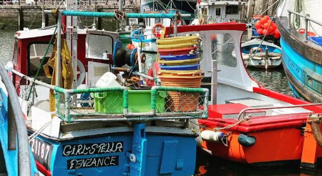 LOBSTER POT APARTMENT with stunning harbour and sea views and free parking for one car & pet friendly