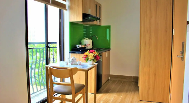 Двухместный номер Economy с балконом и с видом на город Lion Apartment