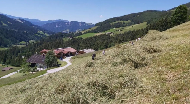 Апартаменты Prädastenhof