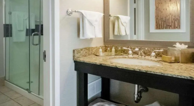 Двухместный номер Deluxe DoubleTree by Hilton Buffalo-Amherst