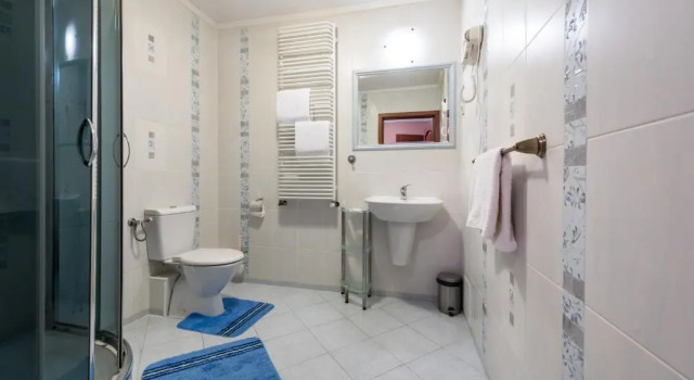 Двухместный номер Standard Hotel Pałac Akropol