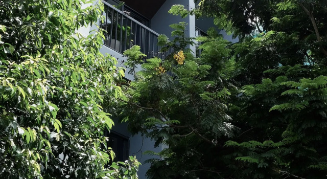 Seaforest Hotel by Haviland, Réserver Hôtel Đà Nẵng 