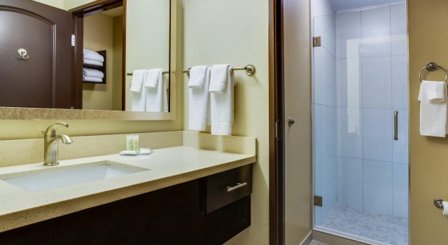 Четырёхместный номер Standard Staybridge Suites Atlanta Airport
