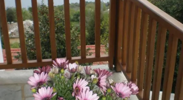 Om Living Pelion, Book Hotel  
