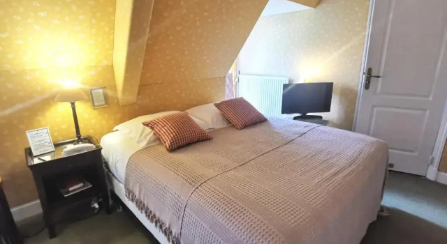 Двухместный номер Standard Grand Hôtel "Château de Sully" - Piscine & Spa -Teritoria