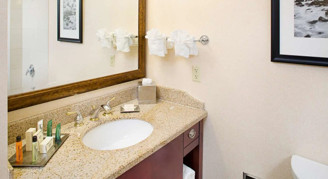 Четырёхместный номер Standard Hilton Garden Inn Providence Downtown Convention Center