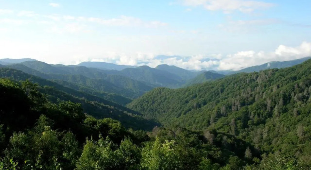 Wildwood Lodge, จอง โรงแรม Lake Toxaway Appalachian Mountains