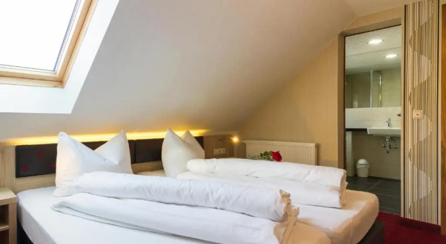 Двухместный номер Standard Landhotel Zur Grünen Kutte