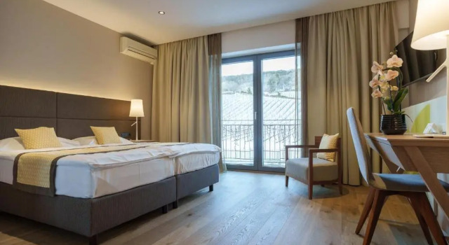 Двухместный номер Standard Hotel Turmhof