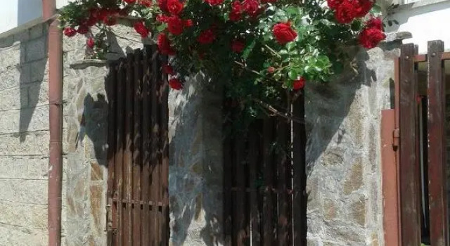 Bonbon Guest House, Prenota Affittacamere Hotel economici a Pazardzhik Province