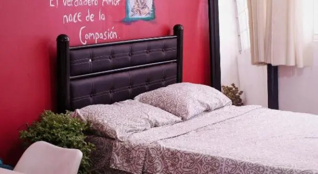 Двухместный номер Standard Free Spirit Experience Guadalajara Centro