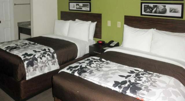 Номер Standard Travelodge by Wyndham Flowood Jackson Airport North
