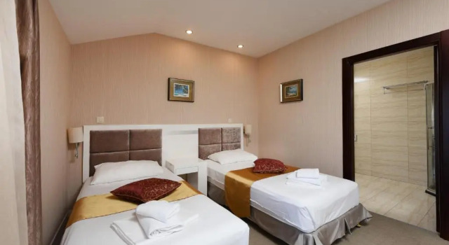 Двухместный номер Standard Family Hotel Zanè