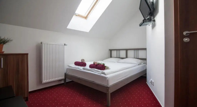 Двухместный номер Standard Hotel Krušnohorský Dvůr