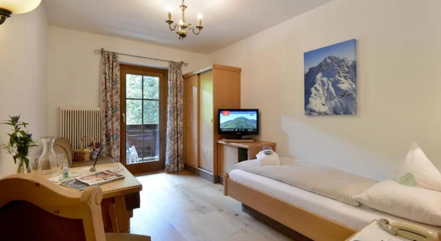 Одноместный номер Standard Hotel Penzinghof