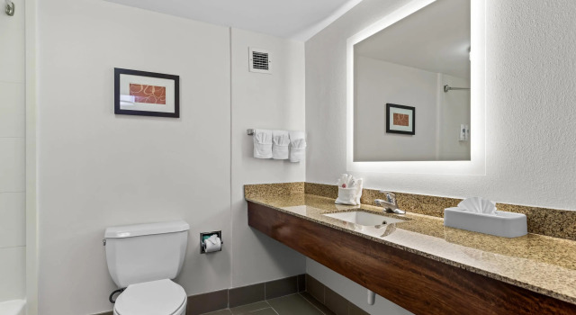 Двухместный люкс Comfort Suites Manassas Battlefield Park