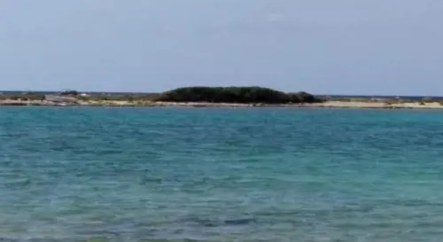 Solemar - Appartamenti vista mare, Забронировать Апартаменты/квартира Апартаменты Порто-Чезарео, рядом с Остров Конильи – Порто-Чезарео, Апартаменты/квартира