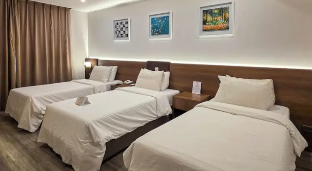 Трёхместный номер Deluxe Embledon Hotel
