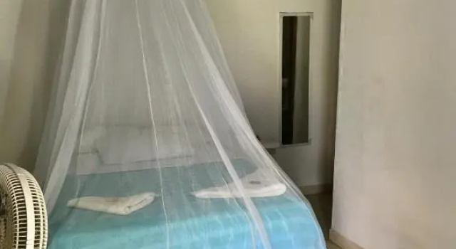 Номер Deluxe Palomino Breeze Hostal