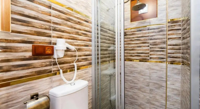 Двухместный номер Superior Brown 2 Mansion Oldcity
