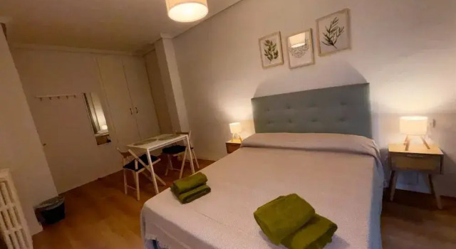Двухместный номер Standard с балконом и с видом на город Rooms Carlos, next to Plaza Mayor
