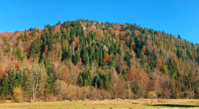 Вилла Вилла Зарина