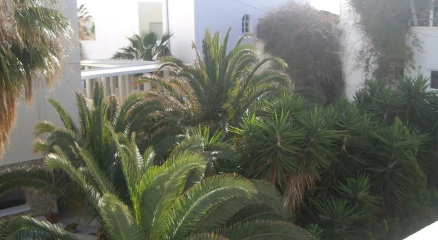 Номер Standard Poseidon Beach Hotel