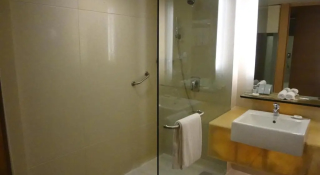Двухместный номер Standard Radisson Blu Hotel Pune Kharadi