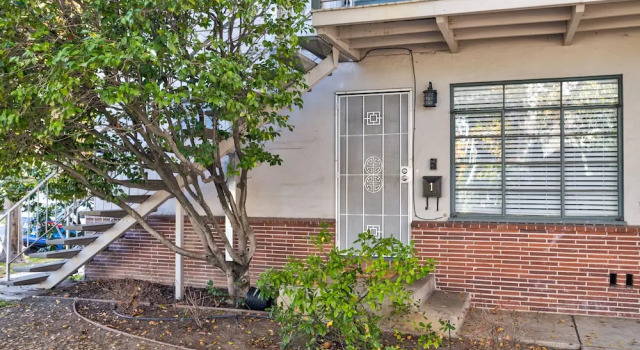 Pet Friendly Condos
