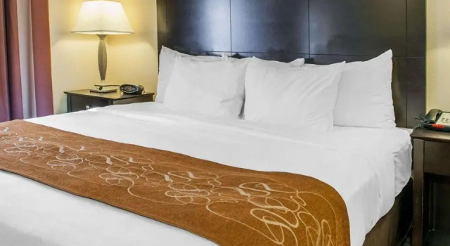 Номер Standard Comfort Suites French Lick
