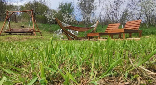 Семейное бунгало Cabana Samira Tășnad
